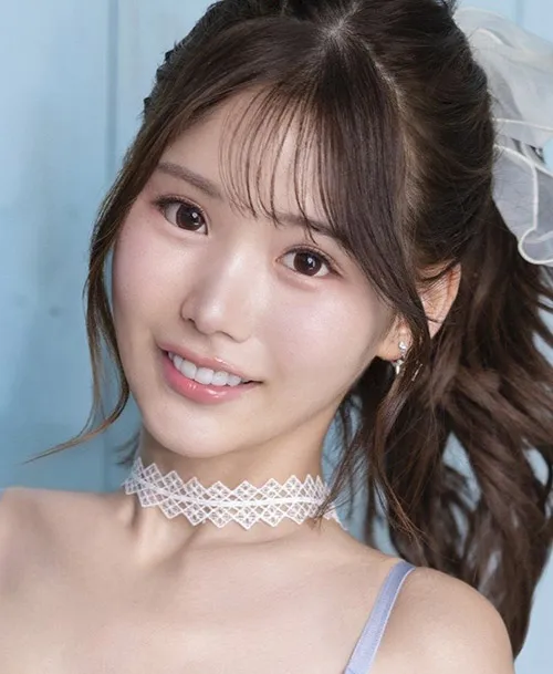 山海关以内 热播电视剧全集在线观看